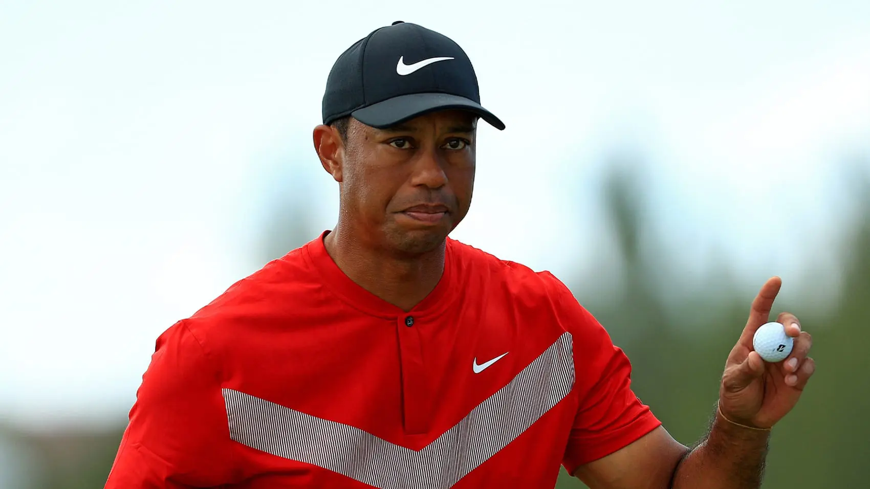 Tiger Woods