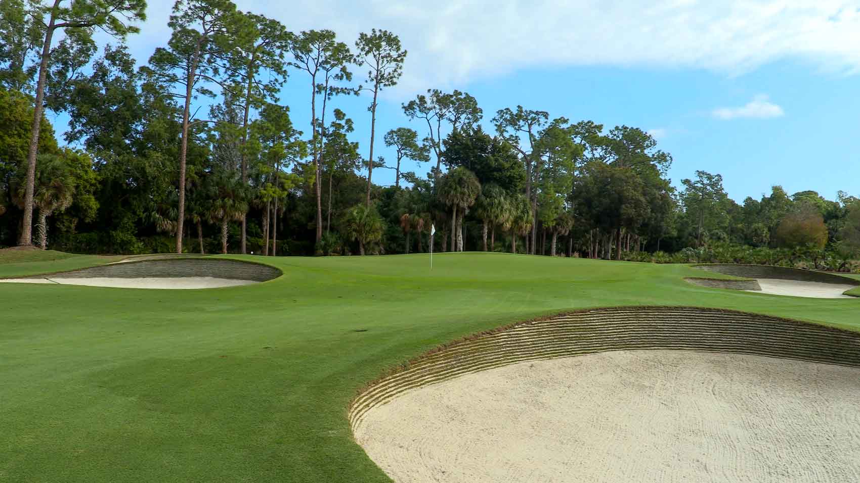 Tiburon Golf Club Gold Course [Golf Course Review]