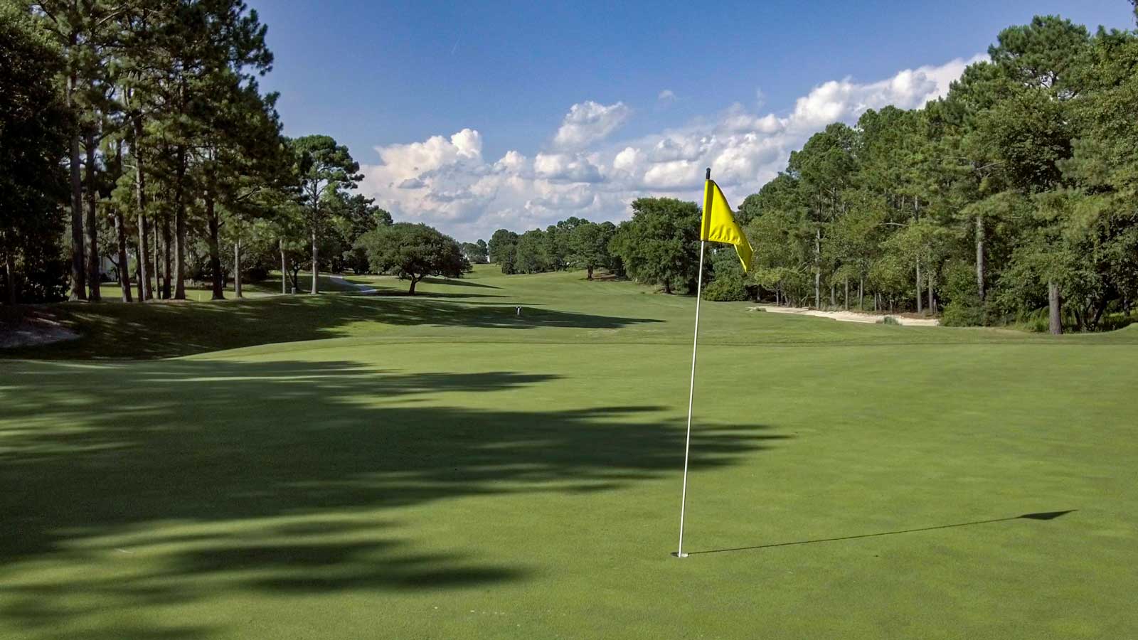 Porters Neck Country Club 18 Holes of Great Golf